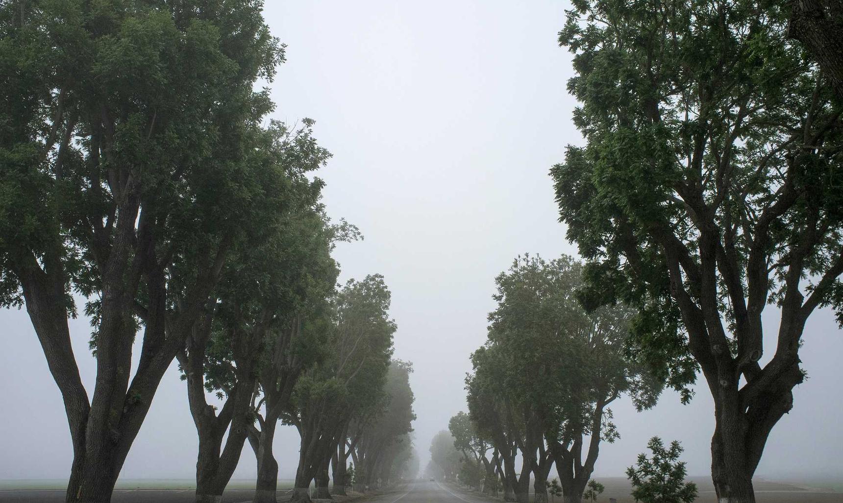 网页DDOS攻击平台|如何加强云安全防范