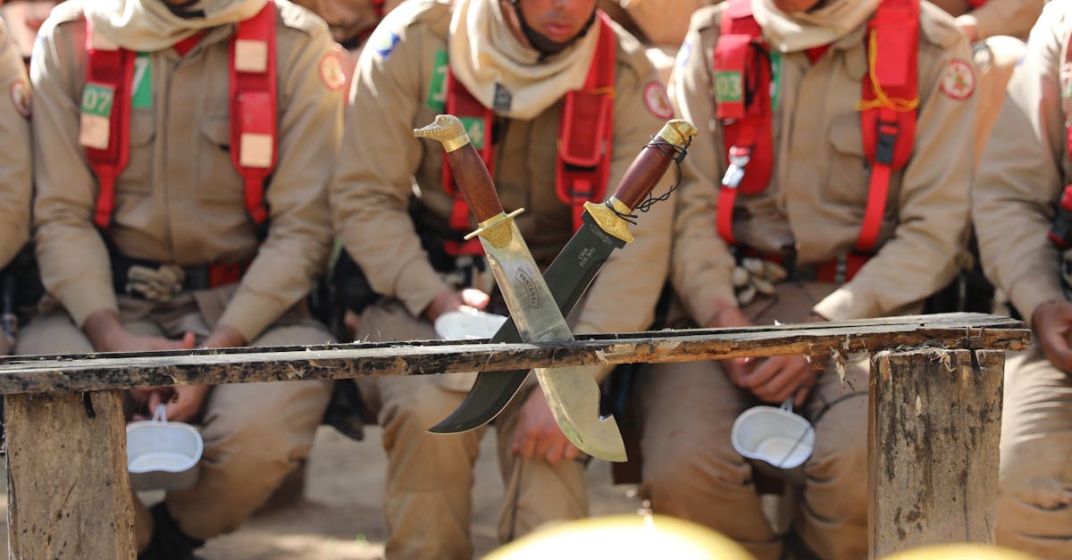 守望先锋归来:详情下载教程app互动作业