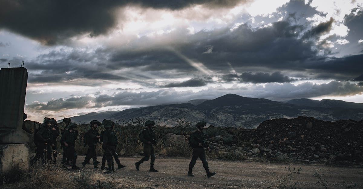 新城娱乐,注册|二手车平台代理