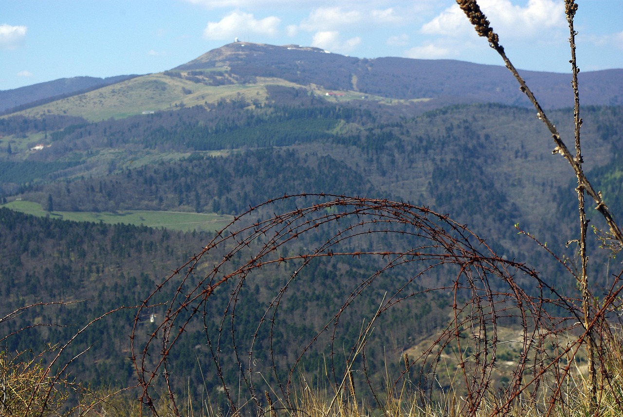在线DDOS攻击平台|国内购买图书平台