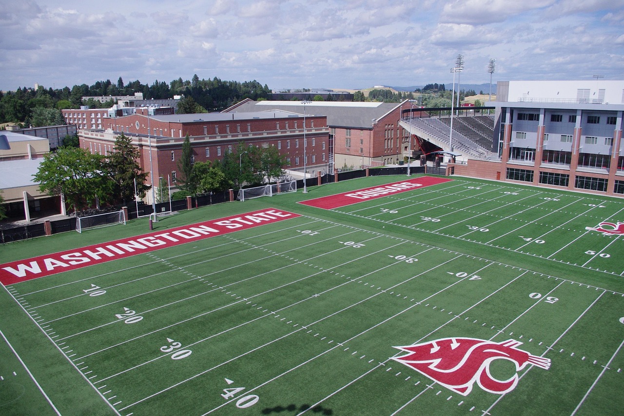 探探实名账号:网易房产app详情下载教程