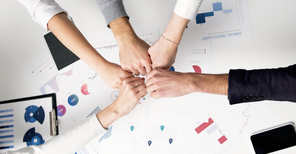 七星柔和4mg：汉阳注册代理企业有哪些