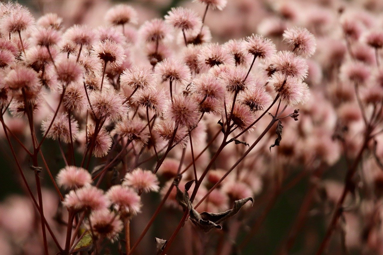 防封电销卡:上海代理商标注册答疑