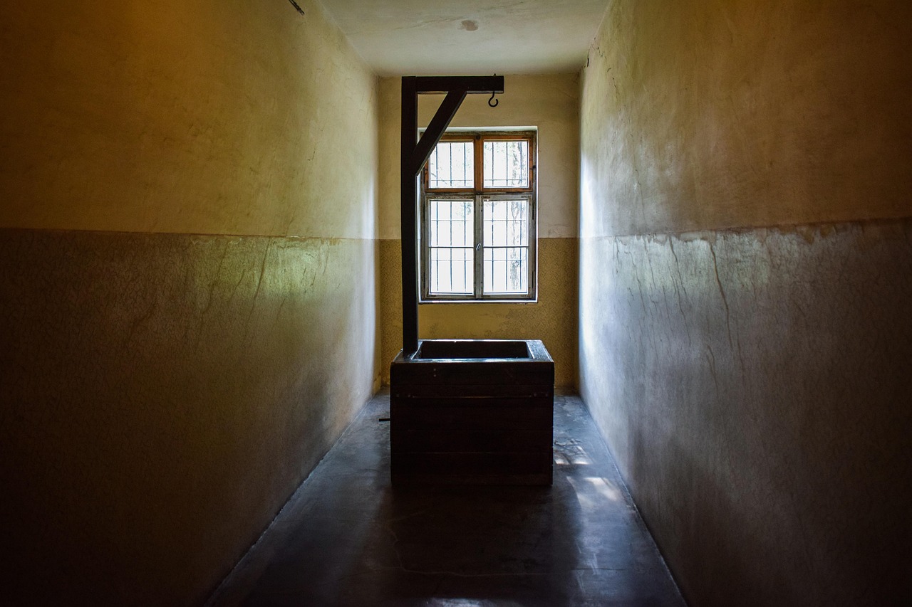 西部数码实名账号：谷歌账号登录注册地址