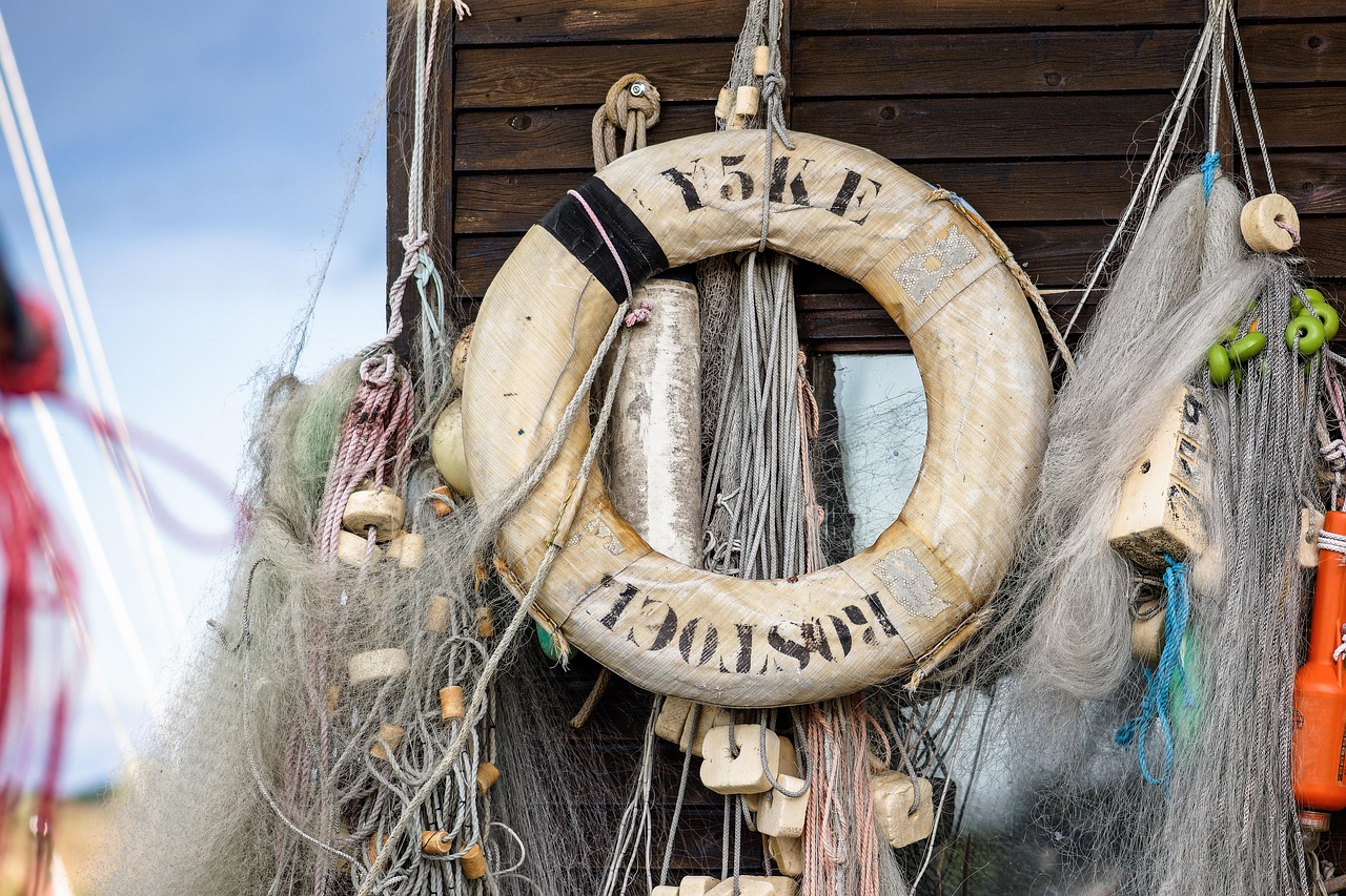 遇见龙：详情下载教程优看侠app